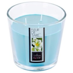 Bougie Pfm Vr Fl Tia Nina 500G