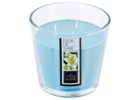Bougie Pfm Vr Fl Tia Nina 500G