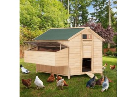 Poulailler Chalet 10 A 12 Poules