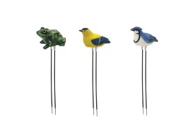 Oiseau Jaune Alarme Humidite