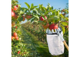 Cueille Fruit Diametre 13,5 Cm