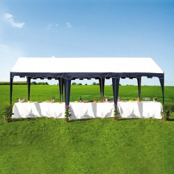 Chapiteau De Réception 3X6M