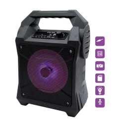 Enceinte Bluetooth Portable
