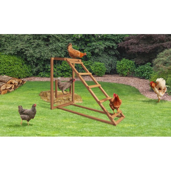 Aire De Jeux Pour Poules