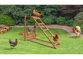 Aire De Jeux Pour Poules