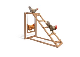 Aire De Jeux Pour Poules