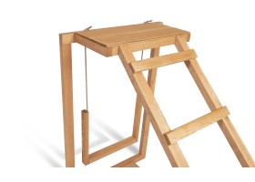 Aire De Jeux Pour Poules