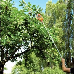 Cueille fruit XL 20cm