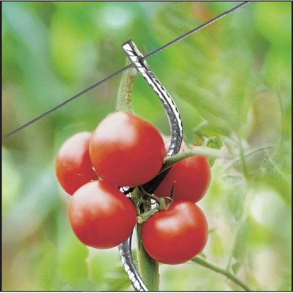 Tuteur De Tomates