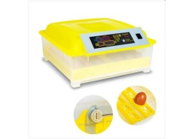 Couveuse automatique 48 œufs incubateur