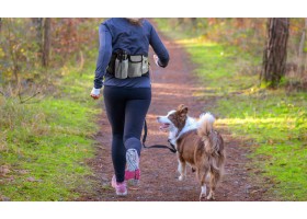 Laisse pour chien mains libres