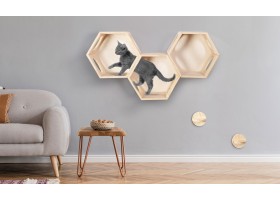 Etagères modulables pour chat x3