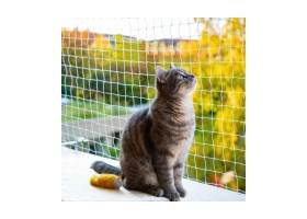Filet nylon transparent 4x3m pour chat