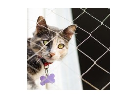 Filet nylon transparent 4x3m pour chat