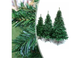 Sapin vert
