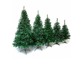 Sapin vert