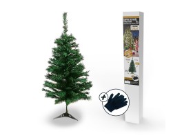 Sapin vert