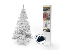 Sapin blanc