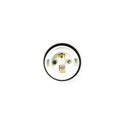 Suspension 6 ampoules Spider
