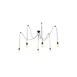 Suspension 6 ampoules Spider