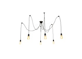 Suspension 6 ampoules Spider