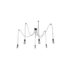 Suspension 6 ampoules Spider