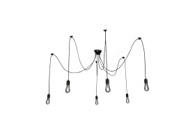 Suspension 6 ampoules Spider