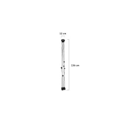 Suspension 6 ampoules Spider