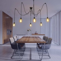 Suspension 6 ampoules Spider