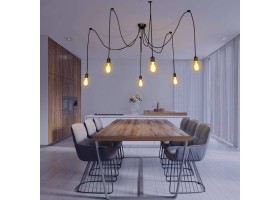 Suspension 6 ampoules Spider