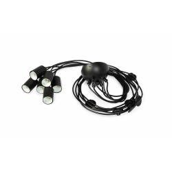 Suspension 6 ampoules Spider