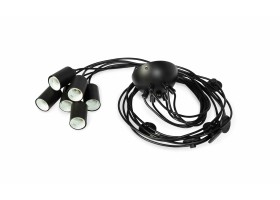 Suspension 6 ampoules Spider