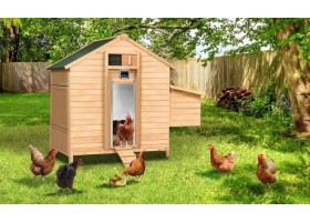 Porte Poulailler Automatique Programmabl