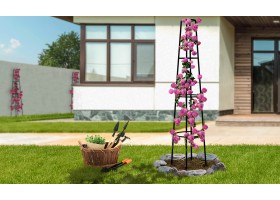 Obelisque Pour Plantes Grimpantes
