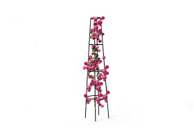 Obelisque Pour Plantes Grimpantes