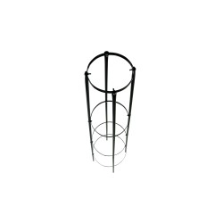 Obelisque Pour Plantes Grimpantes