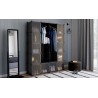 Armoire cube multifonction