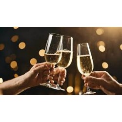 Flûtes à champagne 21,5cl x3