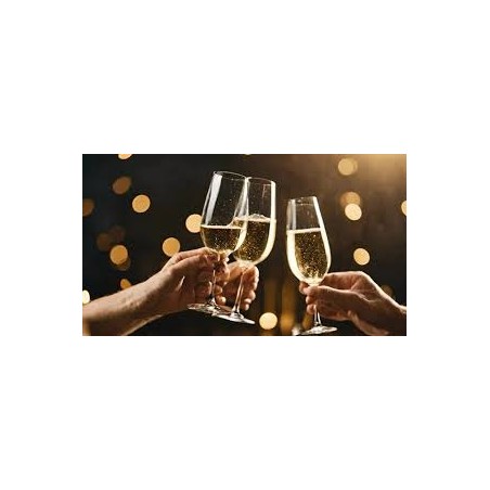 Flûtes à champagne 21,5cl x3