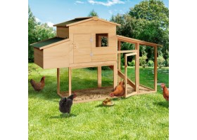 Poulailler 2 A 3 Poules