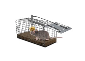 NASSE A SOURIS